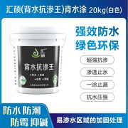 匯碩背水抗?jié)B王